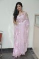 Actress Poonam Bajwa Hot in Light Pink Saree Photos