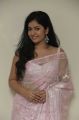 Actress Poonam Bajwa Hot Photos in Light Pink Saree