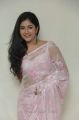 Actress Poonam Bajwa Hot Photos in Light Pink Saree