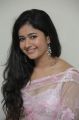 Actress Poonam Bajwa Hot Photos in Transparent Pink Saree
