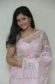 Actress Poonam Bajwa Hot Photos in Transparent Pink Saree