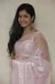 Poonam Bajwa Hot Photos in Light Pink Transparent Saree