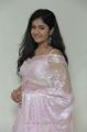 Actress Poonam Bajwa Hot in Light Pink Saree Photos