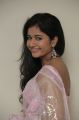 Actress Poonam Bajwa Hot Photos in Transparent Pink Saree