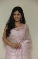 Actress Poonam Bajwa Hot Photos in Light Pink Saree