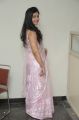 Actress Poonam Bajwa Hot Photos in Light Pink Saree