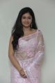 Actress Poonam Bajwa Hot in Transparent Saree Photos