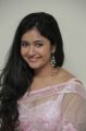 Poonam Bajwa Hot Photos in Light Pink Transparent Saree