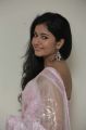 Actress Poonam Bajwa Hot Photos in Transparent Pink Saree