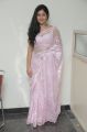 Actress Poonam Bajwa Hot Photos in Transparent Pink Saree