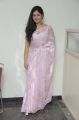 Actress Poonam Bajwa Hot Photos in Light Pink Saree