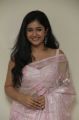 Poonam Bajwa Hot Photos in Light Pink Transparent Saree