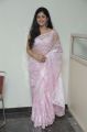 Actress Poonam Bajwa Hot Photos in Light Pink Saree