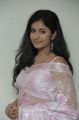 Actress Poonam Bajwa Hot in Light Pink Saree Photos