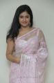 Actress Poonam Bajwa Hot in Transparent Saree Photos