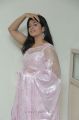 Actress Poonam Bajwa Hot Photos in Light Pink Saree