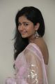 Poonam Bajwa Hot Photos in Light Pink Transparent Saree