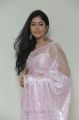 Actress Poonam Bajwa Hot in Light Pink Saree Photos