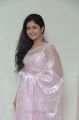 Actress Poonam Bajwa Hot in Transparent Saree Photos