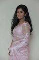 Actress Poonam Bajwa Hot Photos in Transparent Pink Saree