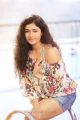 Tamil Actress Poonam Bajwa New Hot Photo Shoot Stills