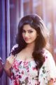 Tamil Actress Poonam Bajwa New Hot Photo Shoot Stills