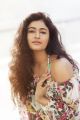 Tamil Actress Poonam Bajwa New Hot Photo Shoot Stills