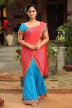Kalavathi Movie Actress Poonam Bajwa Saree Photos