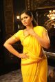 Actress Poonam Bajwa Yellow Saree Photos in Kalavathi Movie