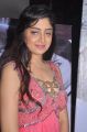 Actress Poonam Kaur New Hot Photos