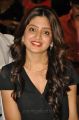 Actress Poonam Kaur Hot Pics @ 365 Audio Release