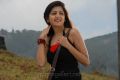 Actress Poonam Kaur Hot Stills in Vadham Movie