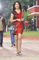 Actress Poonam Kaur New Pics in Aadu Magadu Ra Bujji MOvie