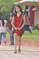 Aadu Magadu Ra Bujji Actress Poonam Kaur New Pics