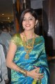 Poonam Kaur Silk Saree Stills