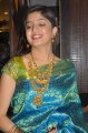 Poonam Kaur Silk Saree Stills