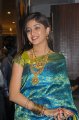 Poonam Kaur Silk Saree Stills