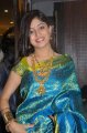 Poonam Kaur Silk Saree Stills