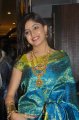 Poonam Kaur Silk Saree Stills