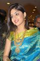 Poonam Kaur Silk Saree Stills