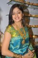 Poonam Kaur Silk Saree Stills