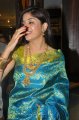 Poonam Kaur Silk Saree Stills