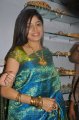 Poonam Kaur Silk Saree Stills