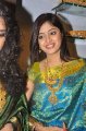 Poonam Kaur Silk Saree Stills