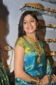 Poonam Kaur Silk Saree Stills