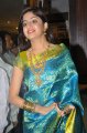 Poonam Kaur Silk Saree Stills