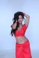 Malini & Co Movie Poonam Pandey Hot Photo Shoot Pics
