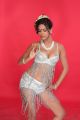 Poonam Pandey Hot Spicy Photo Shoot for Malini & Co Movie
