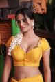 Poonam Pandey Hot Spicy in Mythili & Co Movie Stills