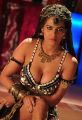 Actress Poonam Pandey in Item Song Hot Stills